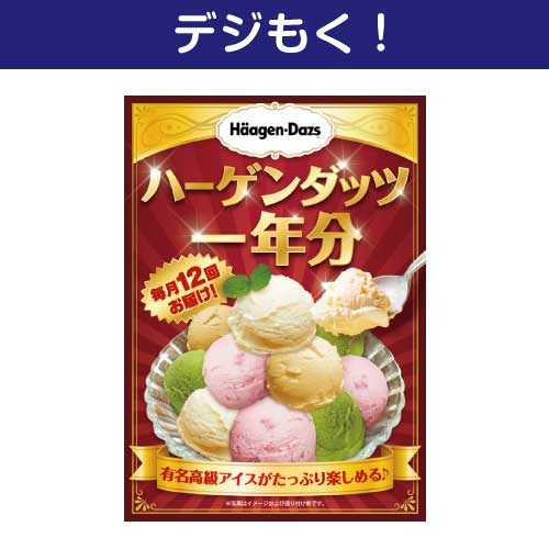 【デジもく！】ハーゲンダッツアイスクリーム　一年分（パネル・目録無し）