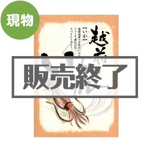 ＜販売終了＞越前いかカレー【現物】