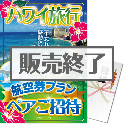 ＜販売終了＞【パネもく！】ハワイ旅行 航空券プラン ペアご招待（A3パネル付）＜決済方法：銀行振込のみ＞