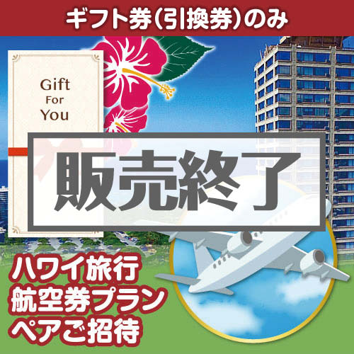 ＜販売終了＞【ギフト券】ハワイ旅行 航空券プラン ペアご招待＜決済方法：銀行振込のみ＞（目録のみ）
