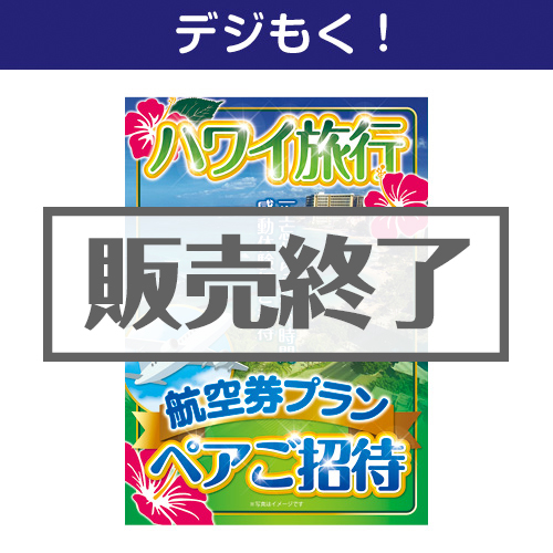 ＜販売終了＞【デジもく！】ハワイ旅行 航空券プラン ペアご招待（パネル・目録無し）＜決済方法：銀行振込のみ＞