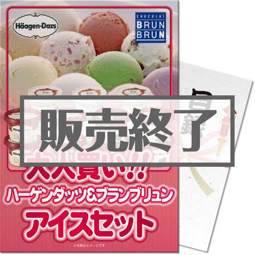 ＜販売終了＞【パネもく！】大人買い！ハーゲンダッツ＆ブランブリュンアイスセット （A4パネル付）[当日出荷可]