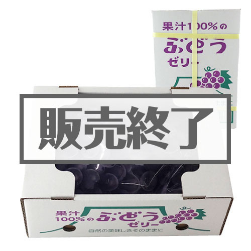 ＜販売終了＞果汁100％ぶどうゼリー【現物】