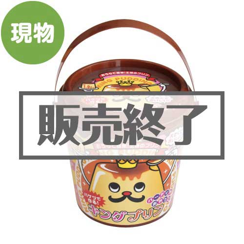 ＜販売終了＞バケツで作る！キングプリン【現物】