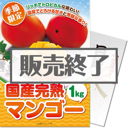 ＜販売終了＞＜季節限定＞【パネもく！】国産完熟マンゴー1kg（A4パネル付）[当日出荷可]