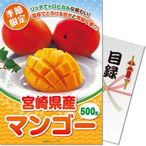 ＜季節限定＞【パネもく！】宮崎県産マンゴー500g　※販売期間：1/19 10時～5/12 10時