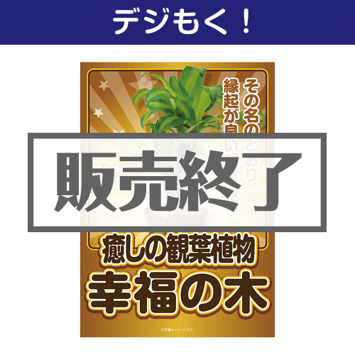 ＜販売終了＞【デジもく！】癒しのインテリア観葉植物「幸福の木」（パネル・目録無し）[当日メール納品可・送料無し]