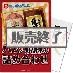＜販売終了＞【パネもく！】日本ハム ハムと焼豚の詰合せ（A4パネル付）[当日出荷可]