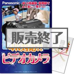 ＜販売終了＞【パネもく！】4K対応！！ビデオカメラ（A3パネル付）[当日出荷可]
