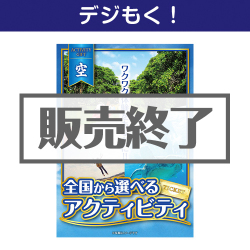＜販売終了＞【デジもく！】全国から選べる！アクティビティギフト-空-（パネル・目録無し）