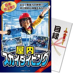 日本初上陸！屋内スカイダイビング