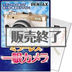 ＜販売終了＞【パネもく！】ミラーレス一眼カメラ（A4パネル付）[当日出荷可]