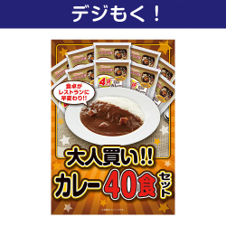 【デジもく！】大人買い！カレー40食セット（パネル・目録無し）