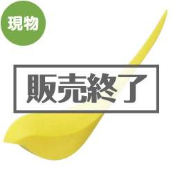＜販売終了＞[+d]バーディー ペーパーナイフ【現物】