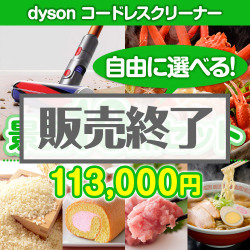 ＜販売終了＞＜内容が選べる景品10点セット＞/dysonv10ff-a3 目玉：dyson コードレスクリーナー[送料無料・全品目録パネル付・当日出荷可]