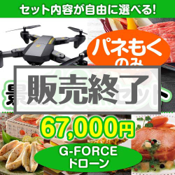 ＜販売終了＞＜内容が選べるまとめ買い景品10点セット＞/gb100-a3 目玉：G-FORCE ドローン