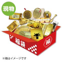 ＜販売終了＞2021年景品パーク福袋「金の福袋」【現物】