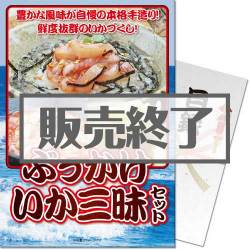 ＜販売終了＞【パネもく！】ぶっかけいか三昧セット（A4パネル付）[当日出荷可]