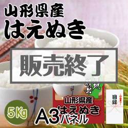 ＜販売終了＞【パネもく！】山形県産はえぬき5kg（A3パネル付）[当日出荷可]