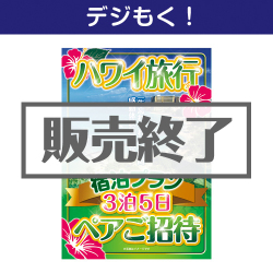 ＜販売終了＞【デジもく！】ハワイ旅行 宿泊プラン3泊5日 ペアご招待（パネル・目録無し）＜決済方法：銀行振込のみ＞