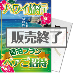 ＜販売終了＞【パネもく！】ハワイ旅行 宿泊プラン3泊5日 ペアご招待（A4パネル付）＜決済方法：銀行振込のみ＞
