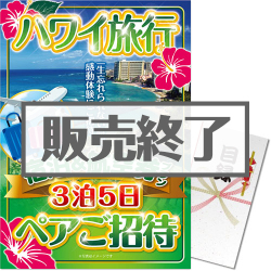 ＜販売終了＞【パネもく！】ハワイ旅行 宿泊＆航空券プラン3泊5日 ペアご招待（A3パネル付）＜決済方法：銀行振込のみ＞