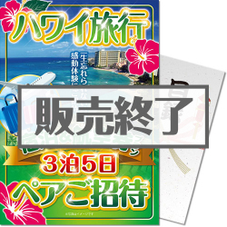 ＜販売終了＞【パネもく！】ハワイ旅行 宿泊＆航空券プラン3泊5日 ペアご招待（A4パネル付）＜決済方法：銀行振込のみ＞