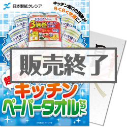 ＜販売終了＞【パネもく！】クレシア 超便利！キッチンペーパータオルセット（A4パネル付）
