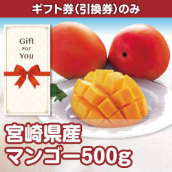 ＜2027年5月入荷予定＞＜季節限定＞【ギフト券】宮崎県産マンゴー500g（目録のみ）　※販売期間：1/19 10時～5/12 10時