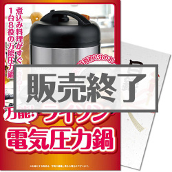 ＜販売終了＞【パネもく！】万能電気圧力鍋（A4パネル付）[当日出荷可]