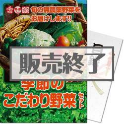 ＜販売終了＞【パネもく！】季節のこだわり野菜セット（A3パネル付）[当日出荷可]