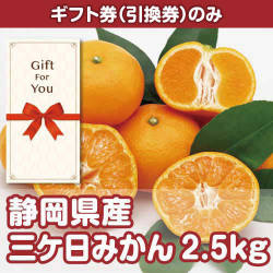 ＜2026年7月入荷予定＞＜季節限定＞【ギフト券】静岡県産 三ケ日みかん2.5kg（目録のみ）　※販売期間：7/1 10時～10/14 10時