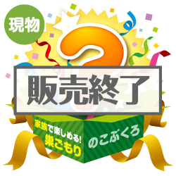 ＜販売終了＞★5個限定！★「家族で楽しめる！巣ごもり」のこぶくろ【現物】