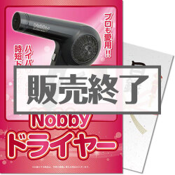 ＜販売終了＞【パネもく！】Nobby ドライヤー（A4パネル付）[当日出荷可]