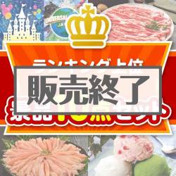 ＜販売終了＞【楽々まとめ買い景品セット：当選者10名様向け】ランキング上位 10点セット