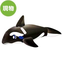 ＜販売終了＞ライディング シャチフロート【現物】