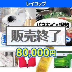 ＜販売終了＞【楽々まとめ買い景品セット：当選者20名様向け】レイコップ20点セット [送料無料・当日出荷可]