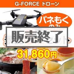 ＜販売終了＞【楽々まとめ買い景品セット：当選者3名様向け】G-FORCE ドローン3点セット [送料無料・全品目録パネル付・当日出荷可]