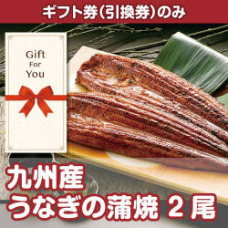 【ギフト券】九州産うなぎの蒲焼2尾（目録のみ）
