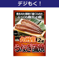 【デジもく！】九州産うなぎの蒲焼2尾（パネル・目録無し）