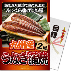 【パネもく！】九州産うなぎの蒲焼2尾