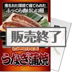 宮崎県産 うなぎの蒲焼