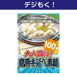 【デジもく！】大人買い！島原 手延べ素麺（100束）（パネル・目録無し）
