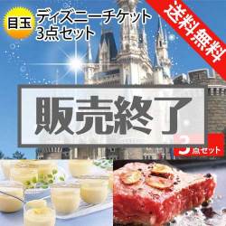 ＜販売終了＞【楽々まとめ買い景品セット：当選者3名様向け】ディズニーチケット 3点セット [送料無料・全品目録パネル付・当日出荷可]