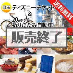 ＜販売終了＞【楽々まとめ買い景品セット：当選者10名様向け】ディズニー＆20インチ自転車 10点セット[送料無料・全品目録パネル付・当日出荷可]