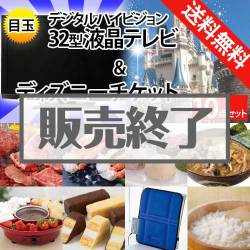 ＜販売終了＞【楽々まとめ買い景品セット：当選者10名様向け】ディズニー＆32型液晶TV 10点セット[送料無料・全品目録パネル付・当日出荷可]