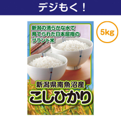 【デジもく！】新潟県南魚沼産こしひかり5kg（パネル・目録無し）