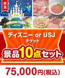 ディズニーペアチケット 10点セット