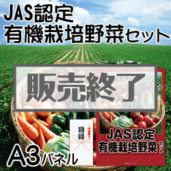 ＜販売終了＞【パネもく！】JAS認定　有機栽培野菜セット（A3パネル付）[当日出荷可]