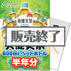 ＜販売終了＞【パネもく！】爽健美茶半年分
